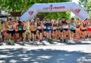 La XXXI Media Maratón de La Rioja pondrá en las calles de Logroño a 500 corredores