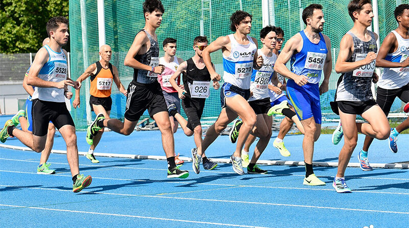 Logroño acoge este fin de semana el Autonómico de Clubes con el Ultreia en busca de su tercer título consecutivo
